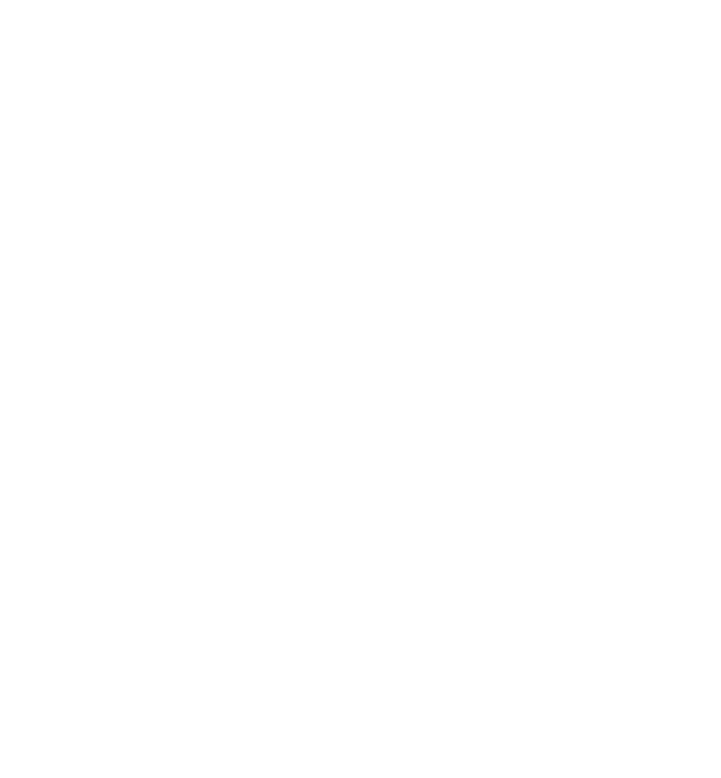 LTFI